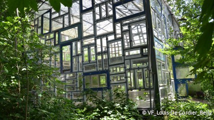 Bezoek aan de kunstsite Verbeke Foundation te Kemzeke