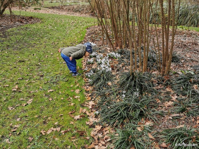 Bezoek aan Arboretum